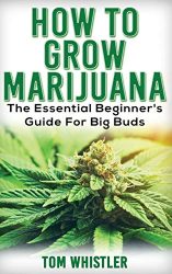 Marijuana: How to Grow Marijuana – The Essential Beginner’s Guide For Big Buds