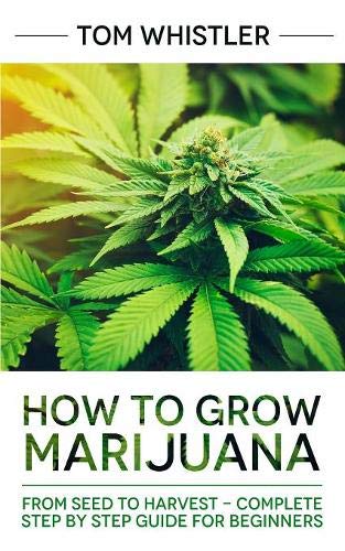 How to Grow Marijuana: From Seed to Harvest – Complete Step by Step Guide for Beginners