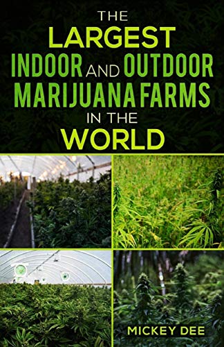 The Largest Indoor and Outdoor Marijuana Farms in the World