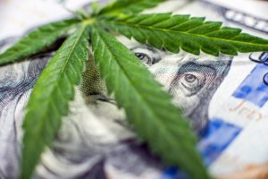 cannamoney 300x200 - Financing Options for Starting a Weed Business