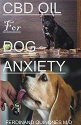 CBD OIL FOR DOG ANXIETY: EVERYTHING YOU NEED TO KNOW ON HOW TO USE CBD OIL TO TREAT AND CURE ANXIETY IN DOGS