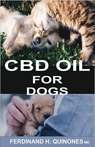 CBD OIL FOR DOGS: A COMPLETE GUIDE ON HOW TO USE CBD OIL O TREAT DOGS