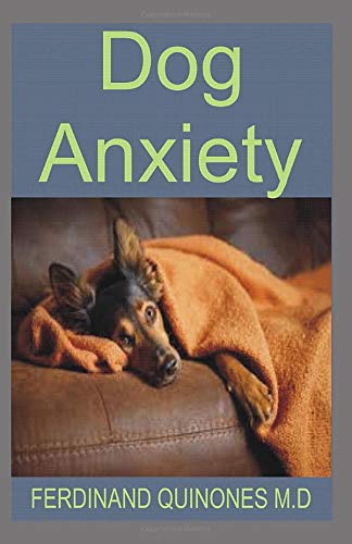 DOG ANXIETY: Everything You Need To Know About Treating Seperation Anxiety in Dogs