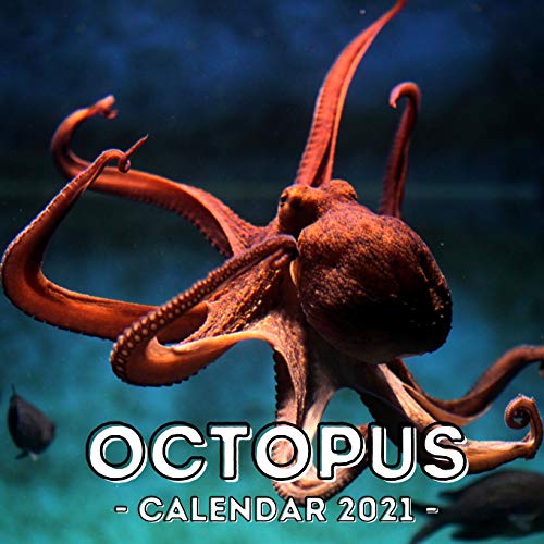 Octopus: 2021 Calendar Book, Cute Gift Idea For Octopus Lovers Men And Women