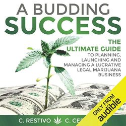 A Budding Success: The Ultimate Guide to Planning, Launching and Managing a Lucrative Legal Marijuana Business