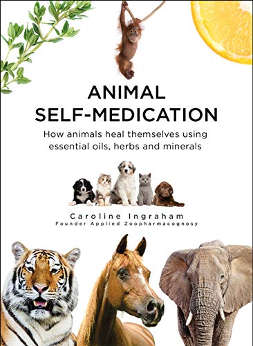 Animal Self-Medication: How animals heal themselves using essential oils, herbs and minerals