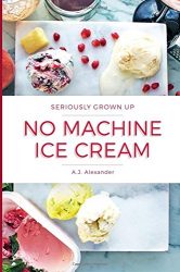 Seriously Grown Up No Machine Ice Cream