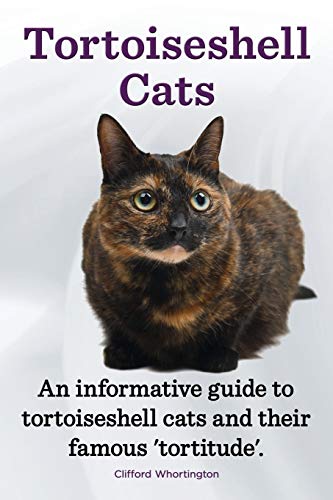 Tortoiseshell Cats. an Informative Guide to Tortoiseshell Cats and Their Famous ‘Tortitude’.