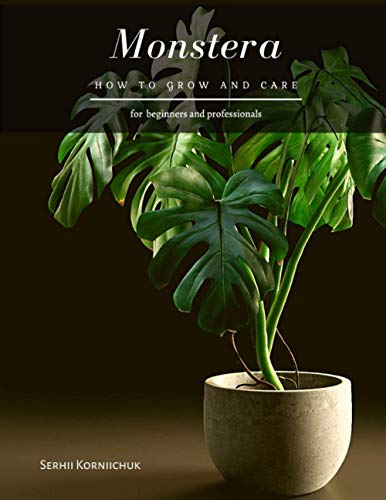 Monstera: How to grow and care