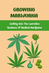 Growing Marijuana: Getting Into The Lucrative Business Of Medical Marijuana