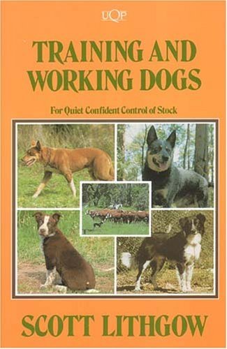 Training and Working Dogs for Quiet Confident Control of Stock