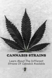 Cannabis Strains: Learn About The Different Strains Of Cannabis Available
