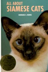 All About Siamese Cats