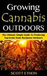 Cannabis: Growing Cannabis Outdoors: The Ultimate Simple Guide To Producing Top-Grade Dank Marijuana Outdoors (How to grow weed, Growing marijuana outdoors, … book, Medical marijuana, Cannabis Book 1)