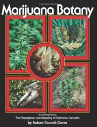 Marijuana Botany: An Advanced Study: The Propagation and Breeding of Distinctive Cannabis by Robert Connell Clarke (1993-08-02)