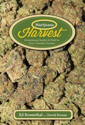 Marijuana Harvest: Maximize Quality and Yield in Your Cannabis Garden